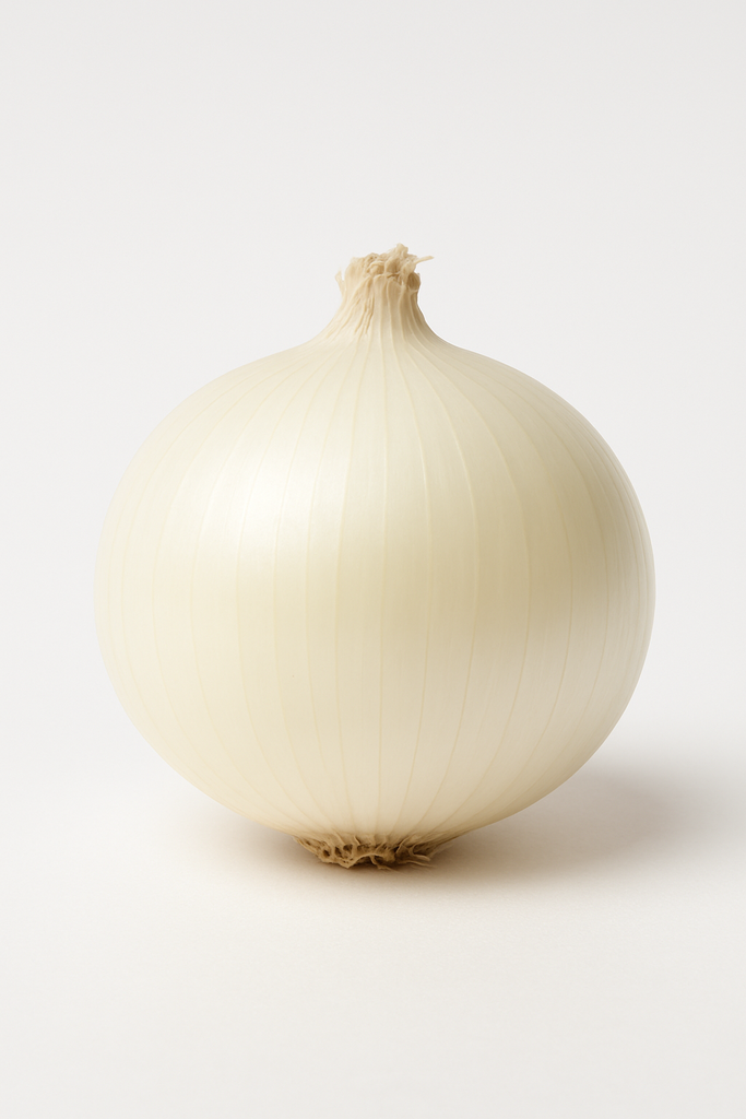 CEBOLLA BLANCA MX