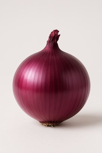 CEBOLLA MORADA MX